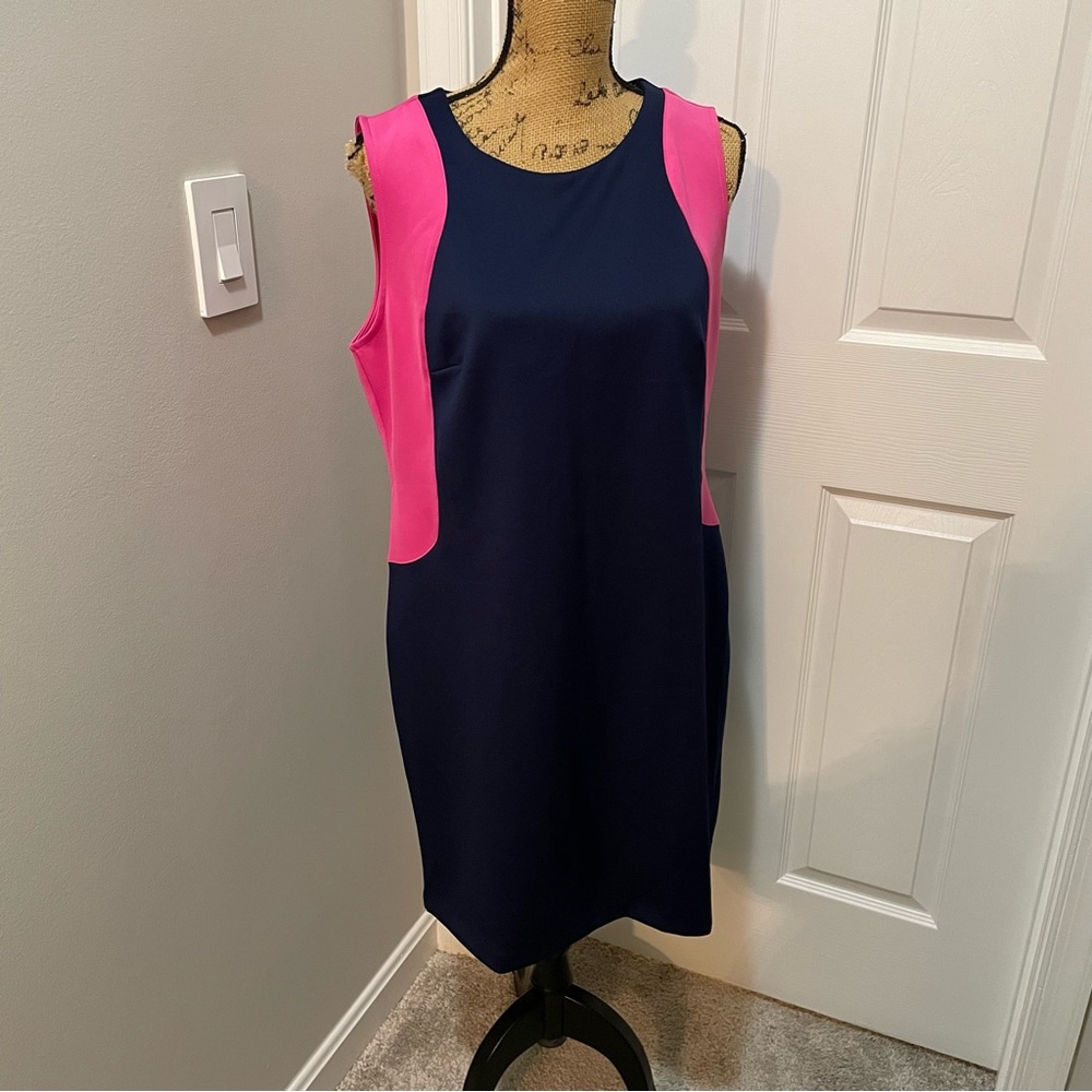 Navy & Pink Bodycon Dress